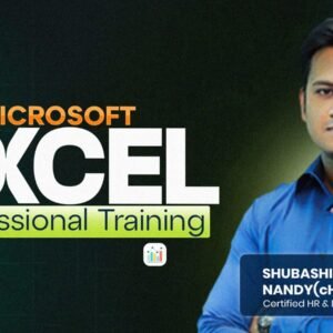 Microsoft Excel Professional Training Course
