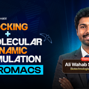 Molecular Docking & MD Simulation with GROMACS